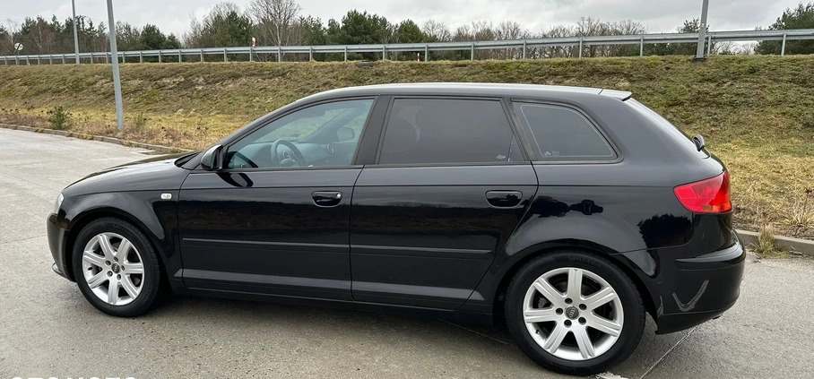 Audi A3 cena 16500 przebieg: 261200, rok produkcji 2005 z Żagań małe 172